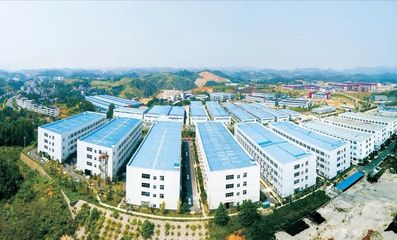 大龍開發(fā)區(qū):聚力新型工業(yè)化 推動工業(yè)大突破